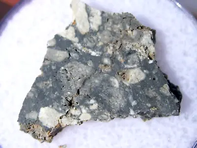 .839 Gram 18x14x2mm NWA 11898 Lunar Slice Moon Meteorite Feldspathic Breccia COA • $49.99