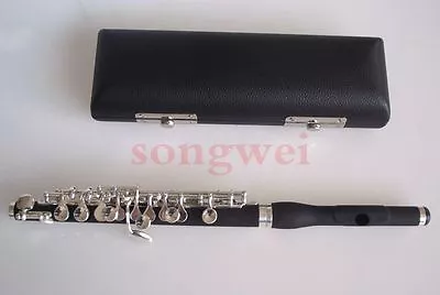 Excellent Piccolo C Key Silver Plated Nice Sound And Technique • $119