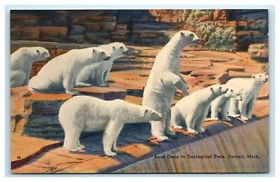 $7.95 • Buy POSTCARD Detroit Michigan Bear Dens In Zoological Park Zoo Polar Bears Chaffee