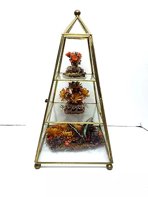 Vintage Brass & Glass Display Case Dried Floral/Butterfly Cabinet 12.5  T • $25