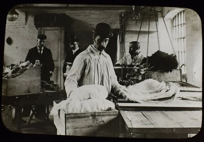 £20 • Buy Magic Lantern Slide OSTRICH FEATHERS C1923 PHOTO THE LONDON PORT DOCKS