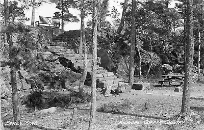 1947 Esrey Park Mohawk Michigan Real Photo Postcard/RPPC • $9.99