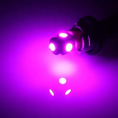  10-pack Purple/Pink T10 Wedge Bulb LED For Malibu 12V AC/DC Landscape Light • $13.99