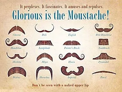 Glorious Is The Moustache Funny Fridge Magnet (og) • $5.48