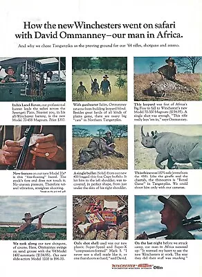 1964 Winchester Safari Man In Africa Rifles Shotgun Shells Vtg Print Ad/Poster • $14.90