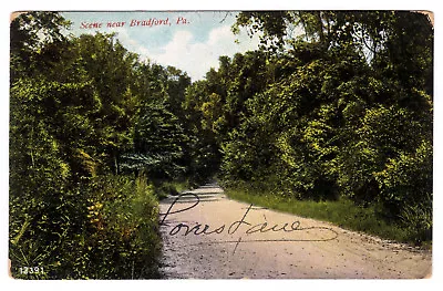 1910 Road Scene Near Bradford PA Postcard RARE McKean County DB German Made • $18.99