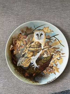 Vintage Coalport Barn Owl Wall Plate Limited Edition Wise Owl Collection 8  Wide • £7