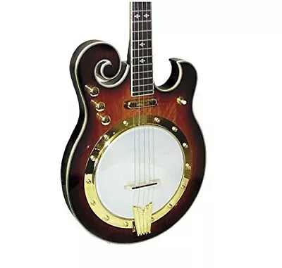 Gold Tone EBM-5 Electric Banjo (Five String Tobacco Sunburst) • $1299.99
