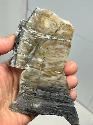 Picasso Marble (Jasper) Rough Slab For Cabbing Lapidary Carving Riki Chakra Utah • $18