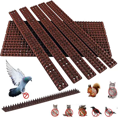 Fence Wall Spikes Garden Security Intruder Repellent Burglar Anti Cat Climb Bird • £6.99