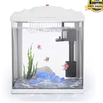 Glass Betta Fish Tank Aquarium Starter Kit W/Waterfall Filter & Planted Light • $38.89