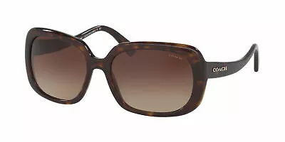 Coach HC8178 512013 New Original Sunglasses Lunettes De Soleil • $257.80