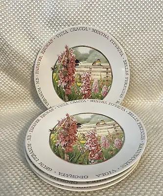 Set Of 4 Marjolein Bastin  Salad / Dessert Plates Wildflower Meadow • $29.99