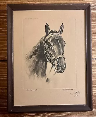 War Admiral Print RH Palenske Vintage 40s Etching Signed Large Print Horses • $99