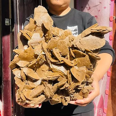 $599.99 • Buy 10.56lb Large Natural Moroccan Desert Rose Stone Cluster Raw Mineral Specimen