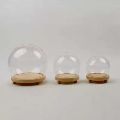 £10.95 • Buy Wooden Base Small/Large Display Glass Cloche Bell Jar Dome Ball Home Decorations