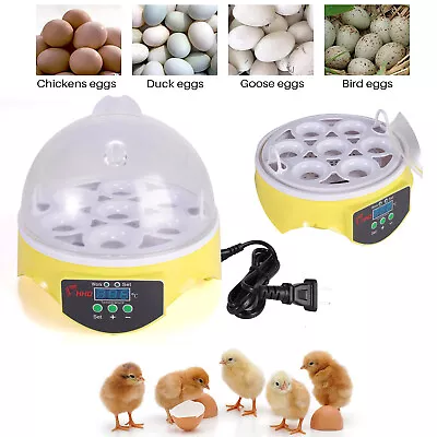 7 Eggs Digital Incubator Chicken Hatching Machine Temperature Control Hatcher • £24.99