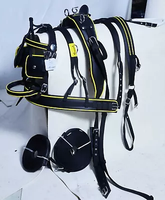 Nylon Driving Cart Harness Set Two Tone For Single Horse Full Cob Pony Shet • £79.98