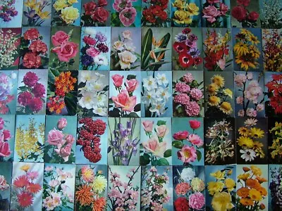 90 Used & Unused J. ARTHUR DIXON Postcards Of FLOWERS & PLANTS.  1950's Onwards. • £5.25