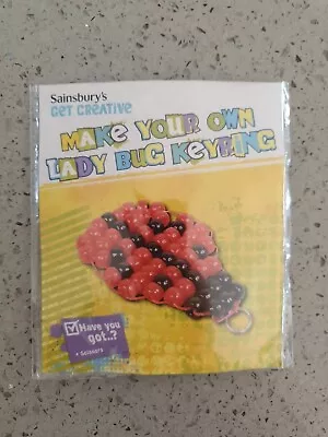 Ge Creative Keyring - Make Your Own Lady Bug Key Ring Age 4+ New • £1