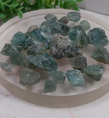 82g Lot Gemmy Green Apatite Crystals Mineral Specimens Tanzania G • $13