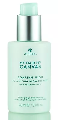 Alterna My Hair My Canvas Soaring High Volumizing Blowout Mist 5 Oz • $19.75