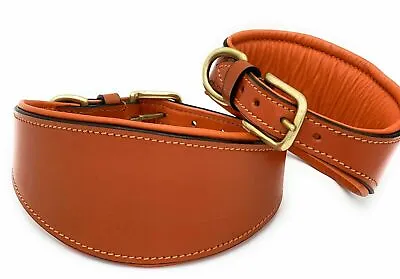 £15.99 • Buy Whippet Greyhound Leather Dog Collar Soft Luxury Padded And Lined Lurcher Strong