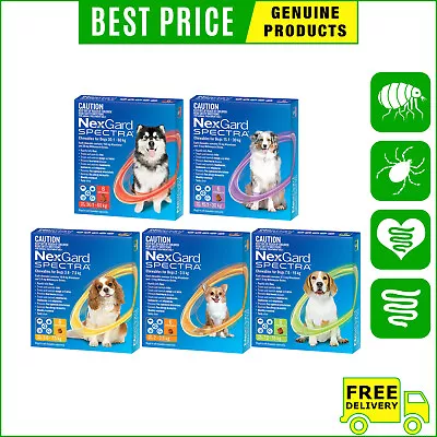 NEXGARD SPECTRA Monthly Heartworm Flea Worm Protection 6 Chews For Dogs AU Shop • $90.98