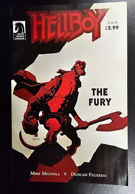 HELLBOY: THE FURY # 1 -(6/2011) / MIKE MIGNOLA / DARK HORSE / UNREAD MINT Nice • $29.99