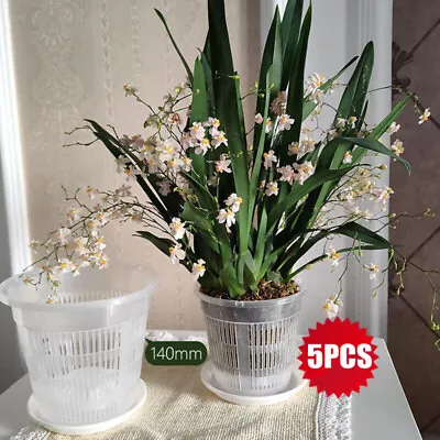 5X Clear Orchid Pots Flower Pots Garden Home Plastic Mesh Breathable Plant Pot • £7.99