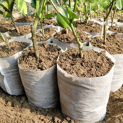 £3.77 • Buy Biodegradable Non-Woven Fabric Bags Plant Growing Pots Nursery Bag 100Pcs/Lots