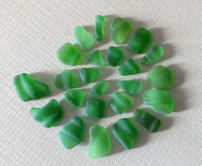 24 Pcs GREEN Beach Sea Glass In Jewelry Quality With Rims Lips Edges • $14.95