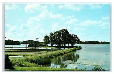 Linesville PA Postcard- FISH HATCHERY Pymatuning Lake • $7.69