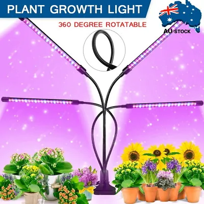 4 Head Plant Grow Light Panel Indoor UV Veg Growing Lamp Full Spectrum USB 80LED • $19.99