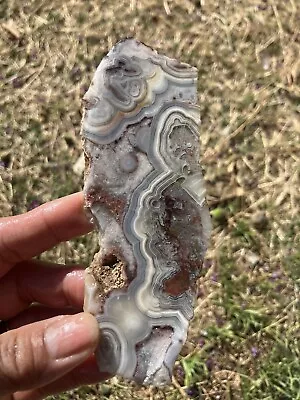 Crazy Lace Agate Slab (Mexico) • $20