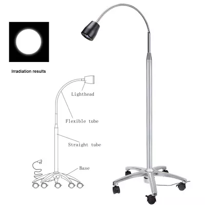 Micare JD1100 Dental Medical 3W LED Examination Light Mobile Auxiliary Light US • $245.09