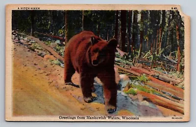 Greetings From Manitowish Waters Wisconsin Posted 1947 Linen Postcard Bear • $5.25