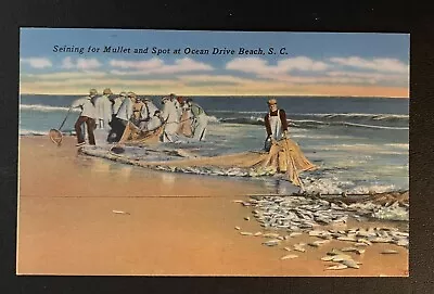 MYRTLE BEACH South Carolina OCEAN DRIVE BEACH Linen Postcard Seining For Mullet • $4.75