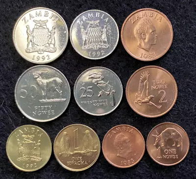 Zambia 5 Coins Set 1 2 25 50 Ngwee & 1 Kwacha UNC World Coins • $8.45
