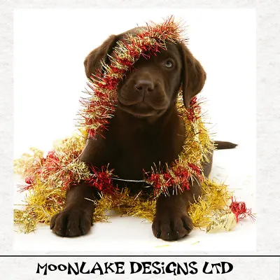 Christmas-Fun Chocolate Labrador Fabric Craft Panels 100% Cotton Or Polyester  • £2.45