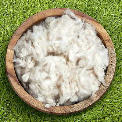 Premium Kapok Fill | 2.5 Lbs | 100% Organic Kapok Fiber • £58.78