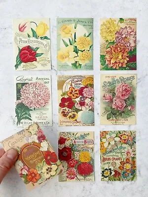 £3 • Buy Vintage Flower Ephemera Card Toppers, Botanical Gift Tags Craft Make Your Own