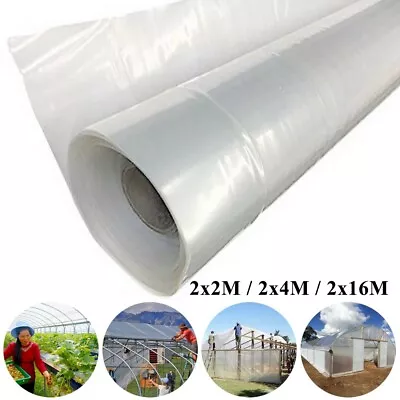 Reliable Clear Poly Film For Greenhouse Use Weather Resistant And Tear Proof • £13.94