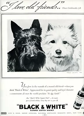 1936 Original Scottie Dogs Art. By Morgan Dennis. B&W Scotch Ad. Lg Glossy Page • $9.25