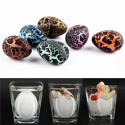 £5.98 • Buy 5Pcs Hatching Dinosaur Egg Kids Toy Dino Water Magic Growing Toy Model Gifts Set
