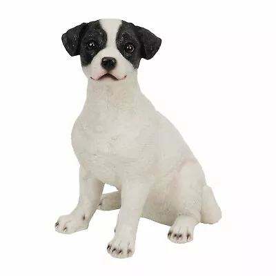 Best Of Breed Jack Russel Puppy Bb436 • £14.95