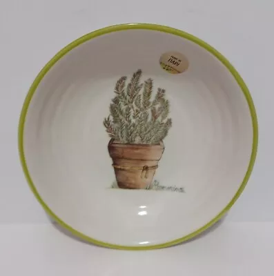 2 Potted Rosemary Ceramica Cuore 9  Pasta Bowl Made In Italy - New • $33.95