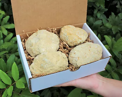 Break Your Own Geodes Gift Box (4 LARGE Pcs) Unopened Moroccan Crystal Geodes • $22.95