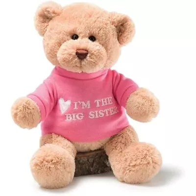 GUND  I'm The Big Sister  Teddy Bear Stuffed Animal Toy Ages 1+ Brown 12” • $19.99
