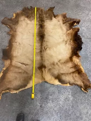 Beautiful Tanned Elk Hide • $300